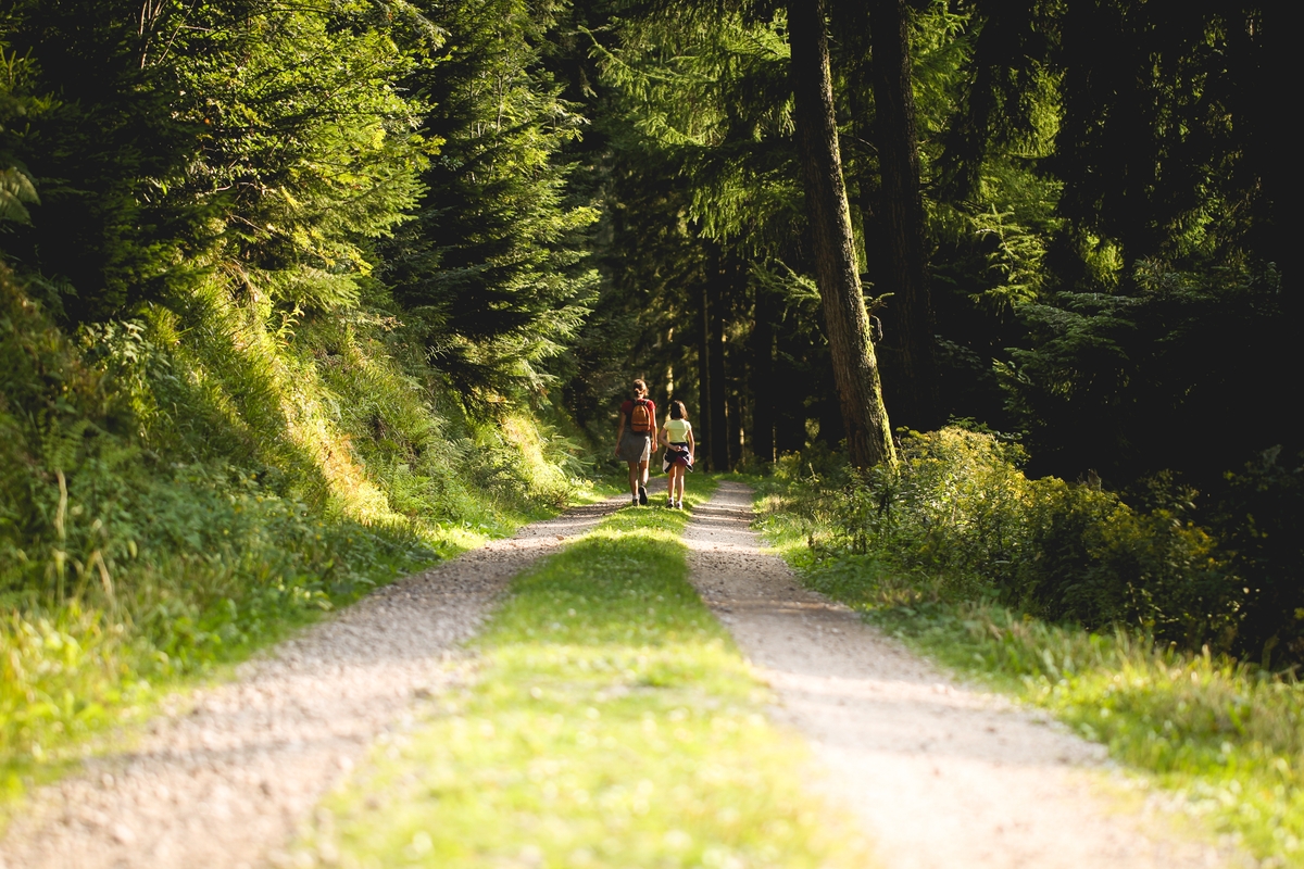 two people out walking in woods